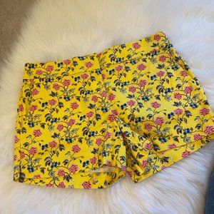 Ann Taylor Loft Riviera Short